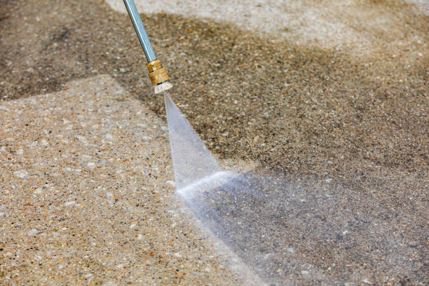Best Animal Enclosure Cleaning  in Christiansburg, VA